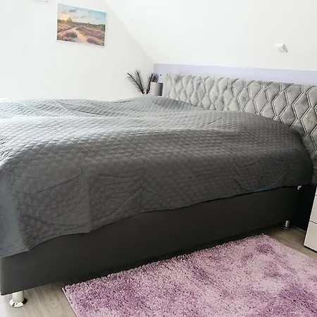 In بيت للعطل بيسبينغين